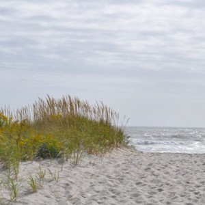 dunes