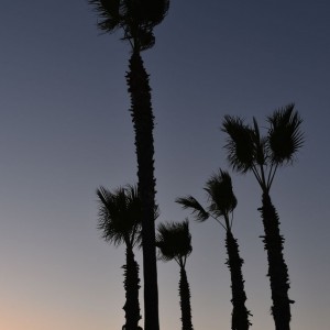 sandiego3