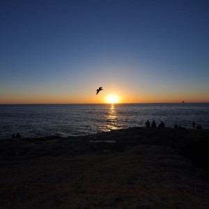 sandiego4